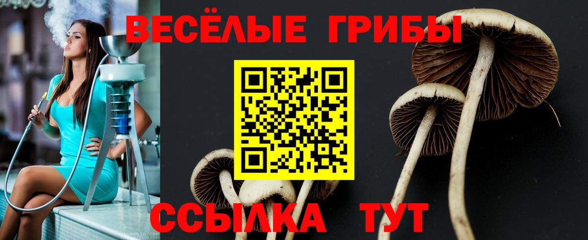 Псилоцибиновые грибы Psilocybe  Вход с VPN  Псилоцибиновые грибы мухоморы  купить наркотик  Ялта 