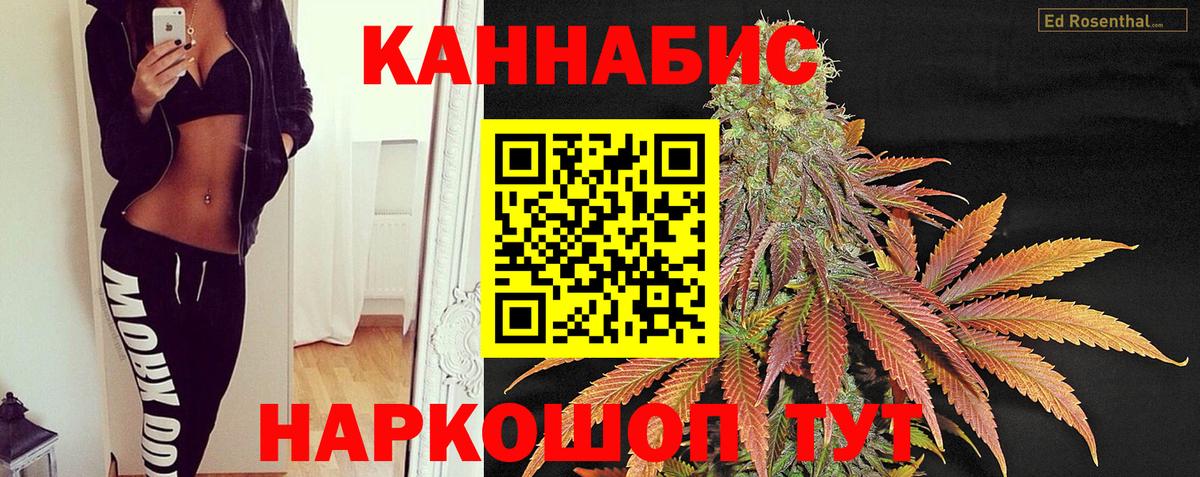 Канабис OG Kush Ялта